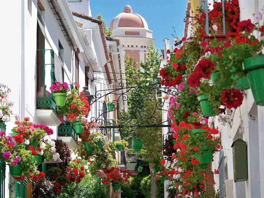 FUERTE ESTEPONA photo 1