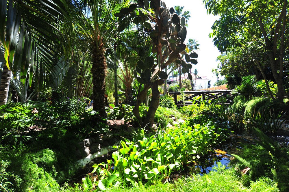 Parque Tropical photo 1