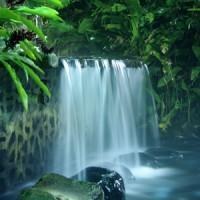 BALDI HOT SPRINGS HOTEL & SPA photo 4
