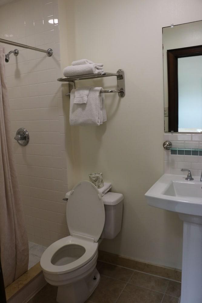 PRYTANIA PARK HOTEL photo 2