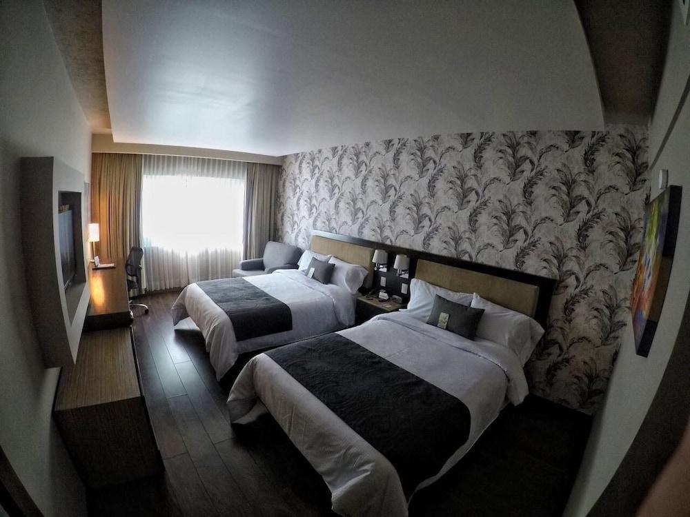 Hotel Plaza Diana photo 4