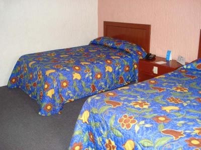 Hotel Suites Del Real photo 1