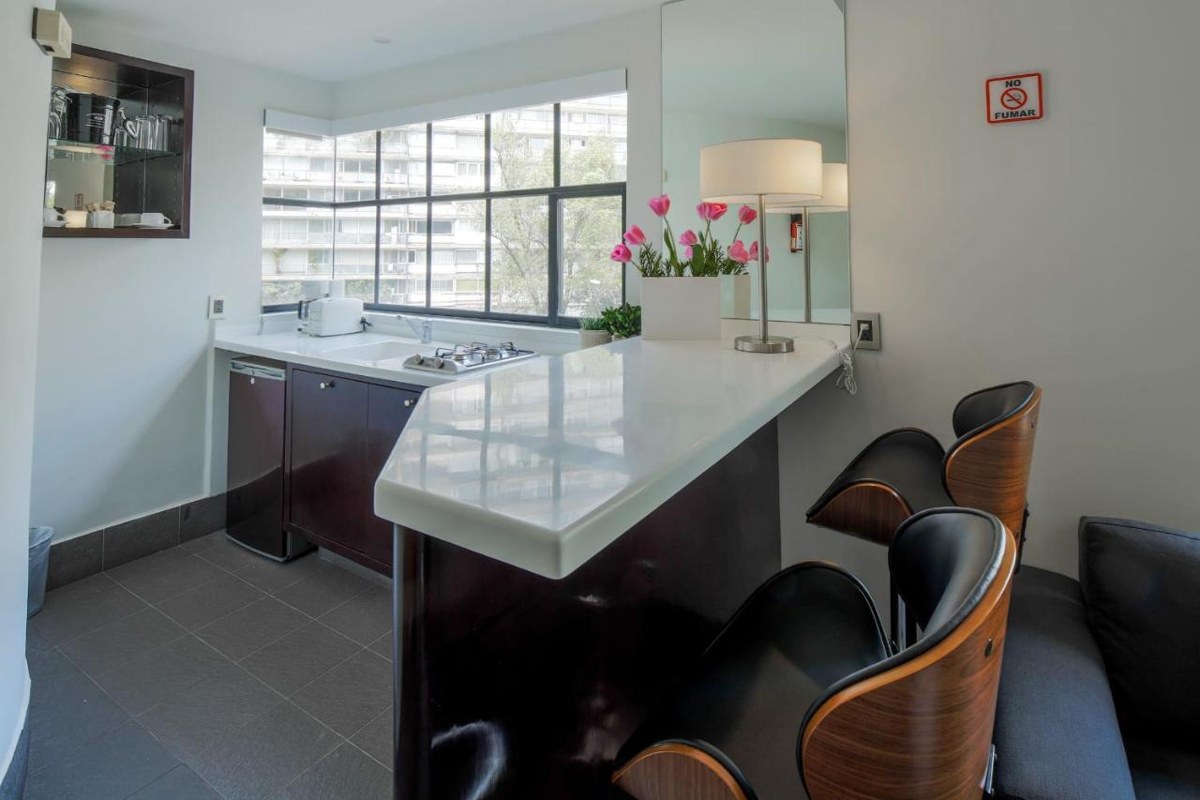 FLOWSUITES POLANCO photo 3