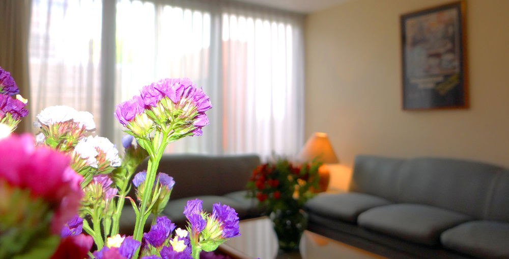 Hotel Fuente del Bosque