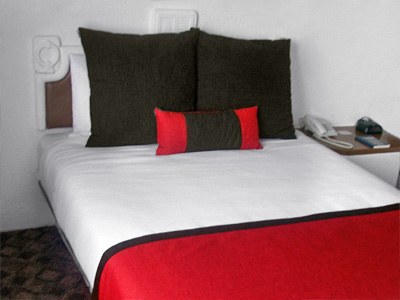 DoubleTree by Hilton Toluca photo 2