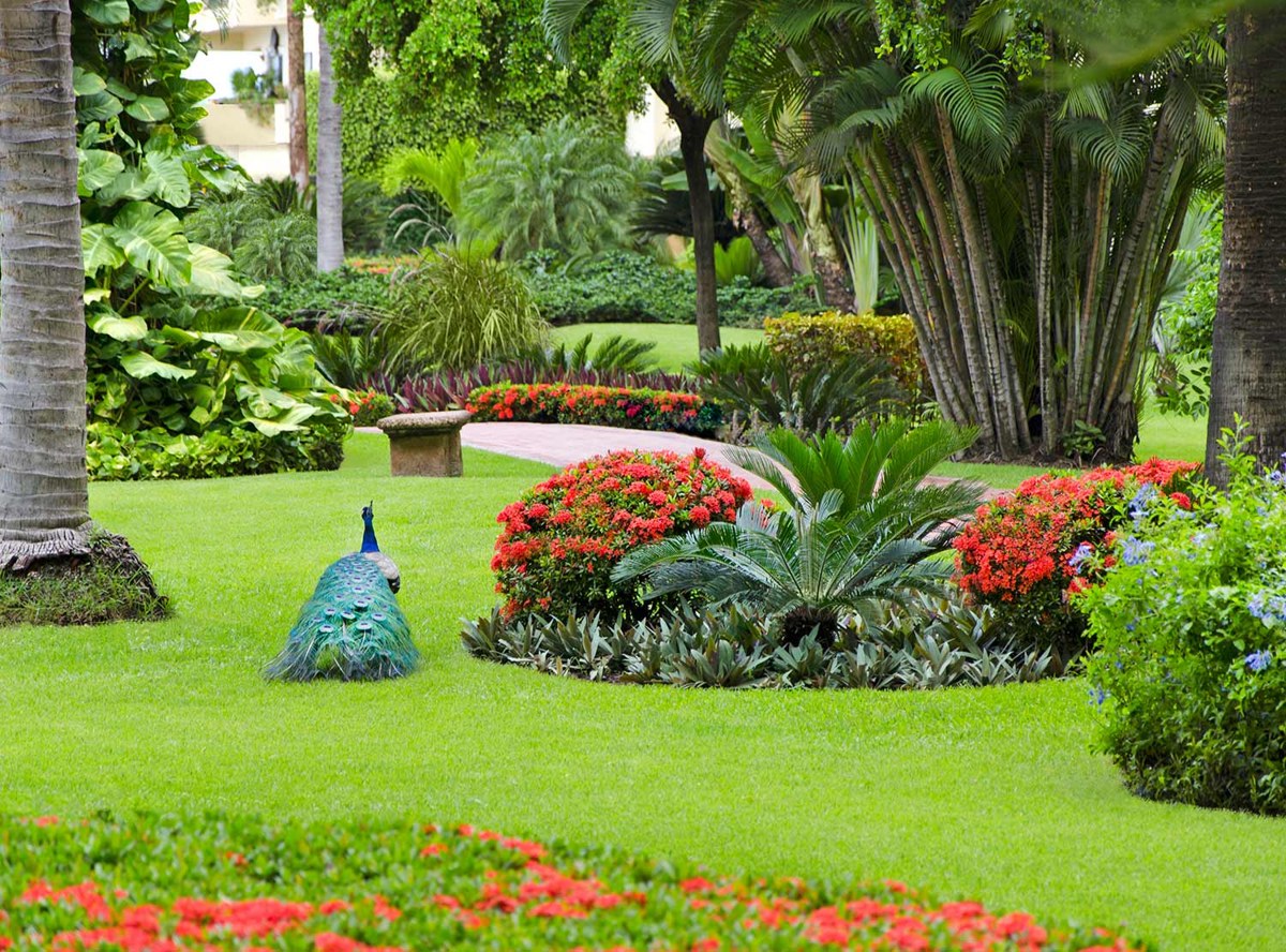Velas Vallarta Suite Resort