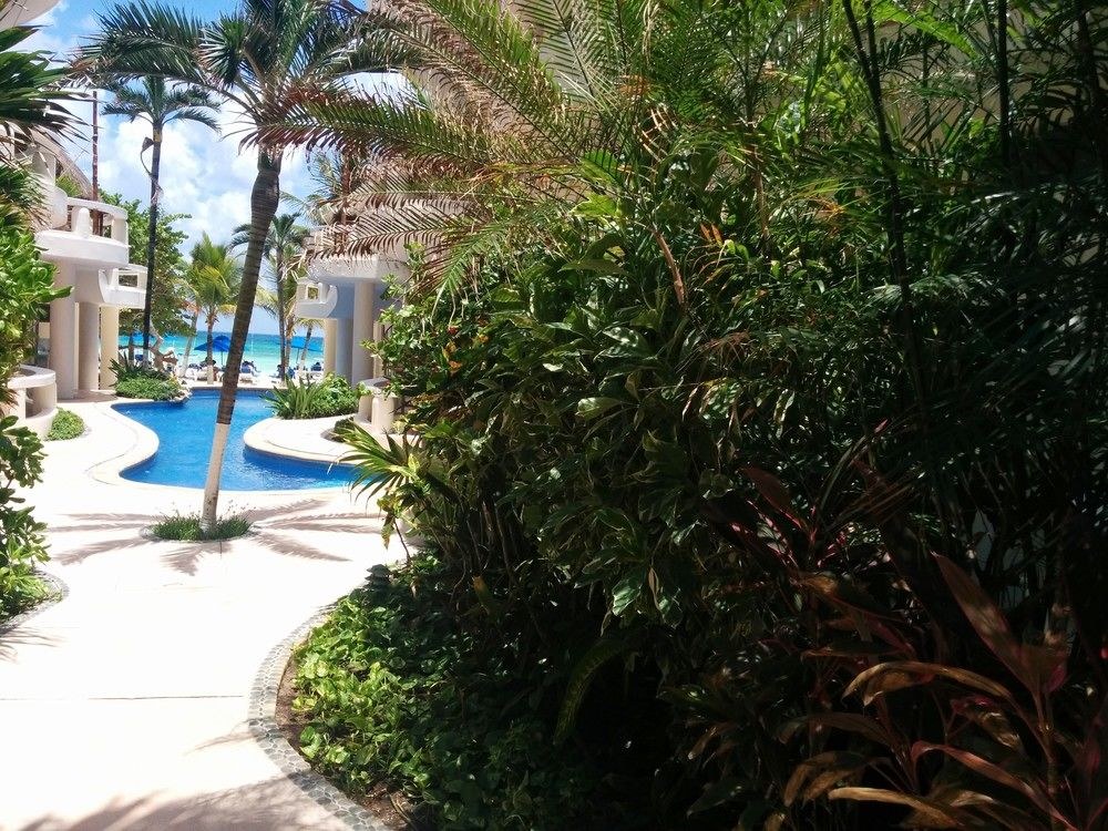 PLAYA PALMS BEACH HOTEL photo 1