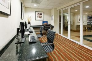 Holiday Inn Express Torreon by IHG photo 4