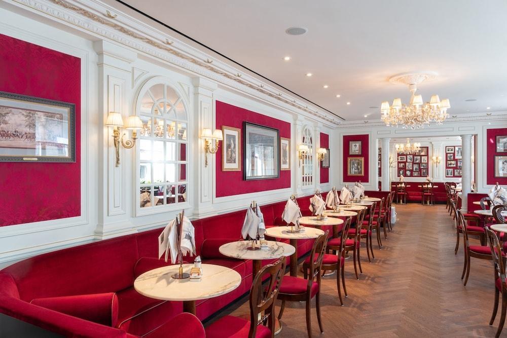 SACHER photo 2