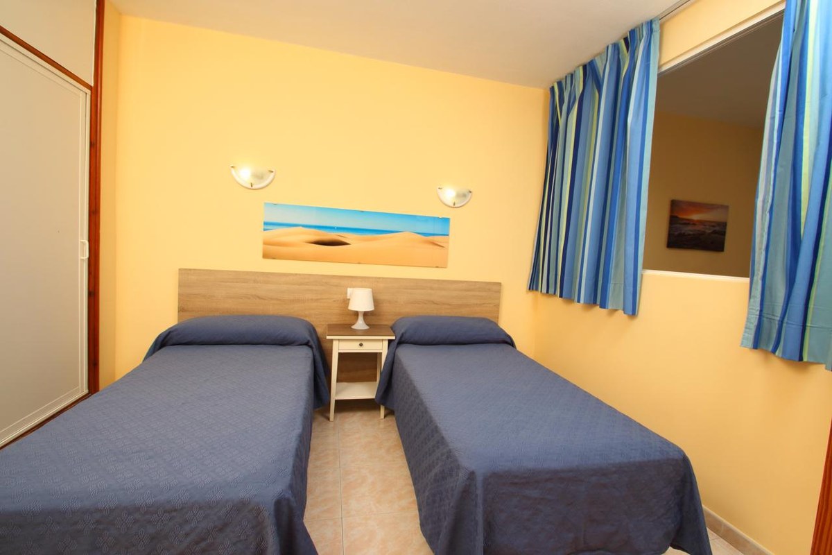 APARTAMENTOS STRELITZIAS photo 2
