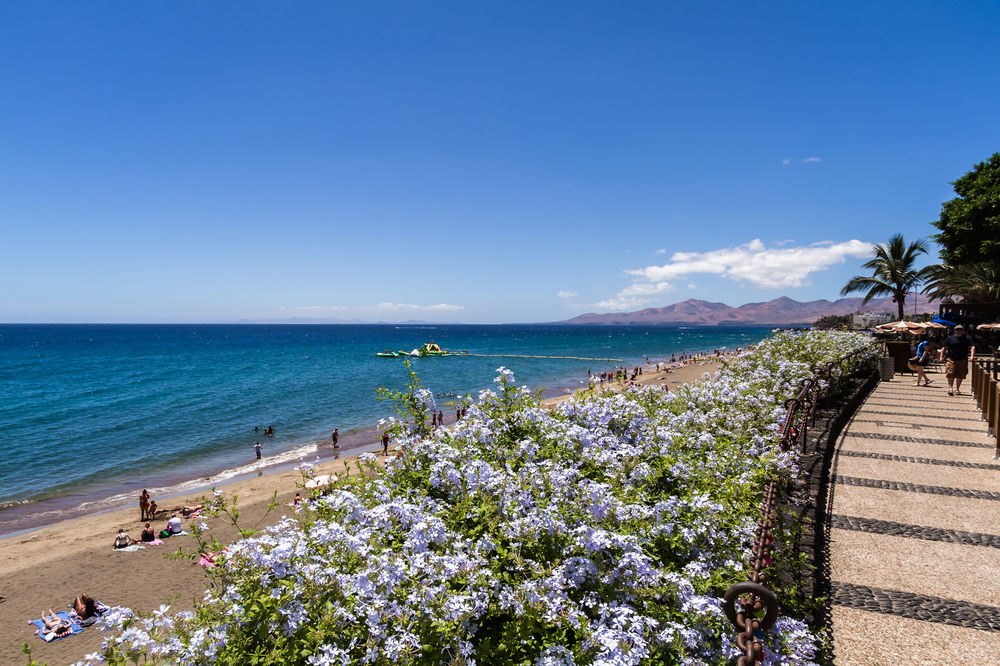 BLUESEA El Dorado