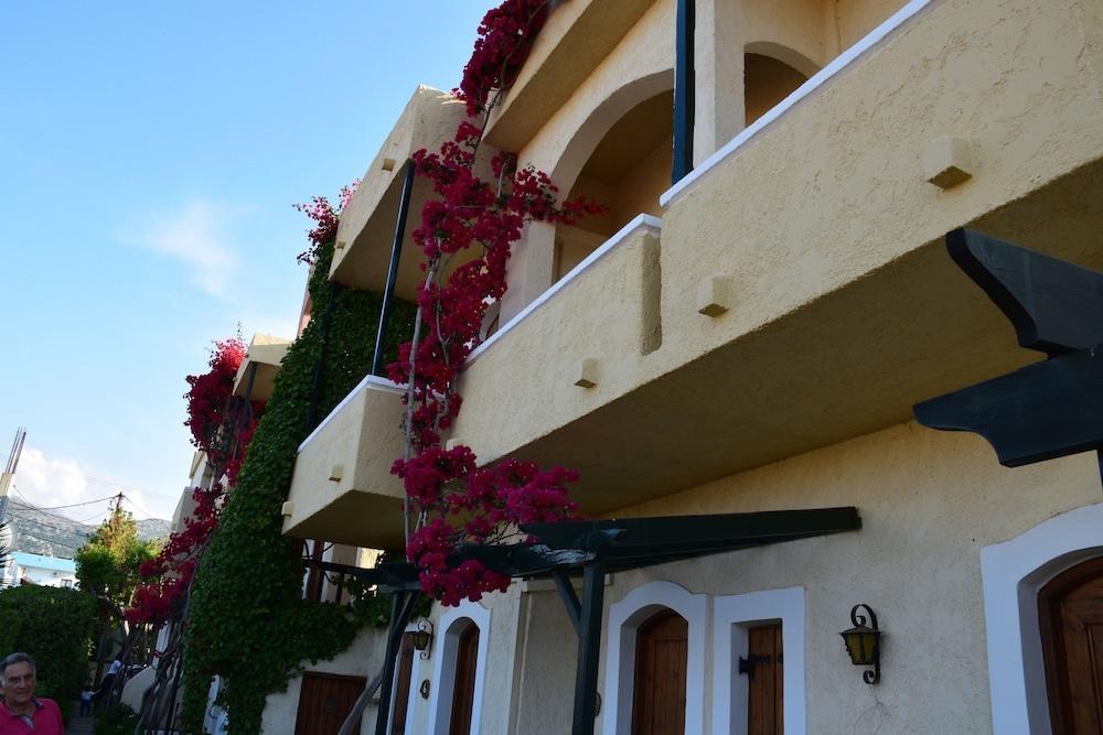 MALIA STUDIOS APARTMENTS photo 2