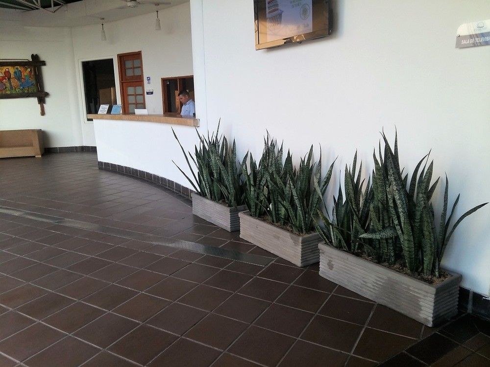 SANHA PLUS HOTEL photo 2