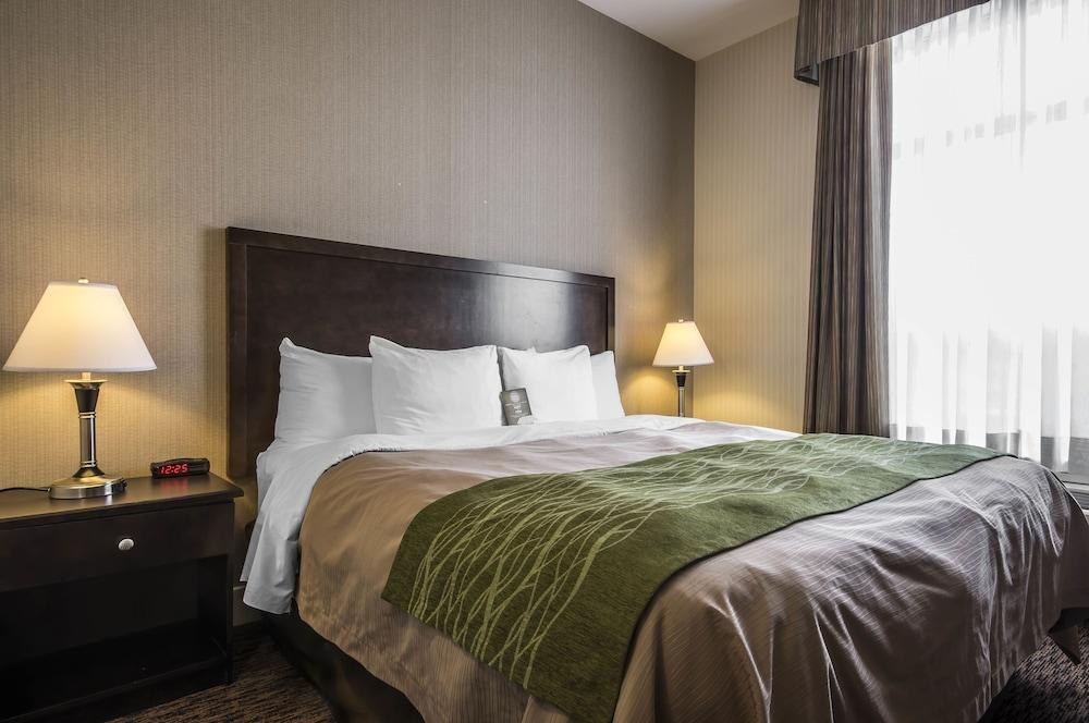 COMFORT INN & SUITES SURREY photo 3