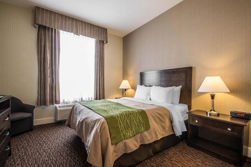 COMFORT INN & SUITES SURREY photo 4