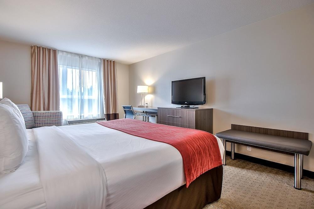 COMFORT INN & SUITES SOUTH photo 2