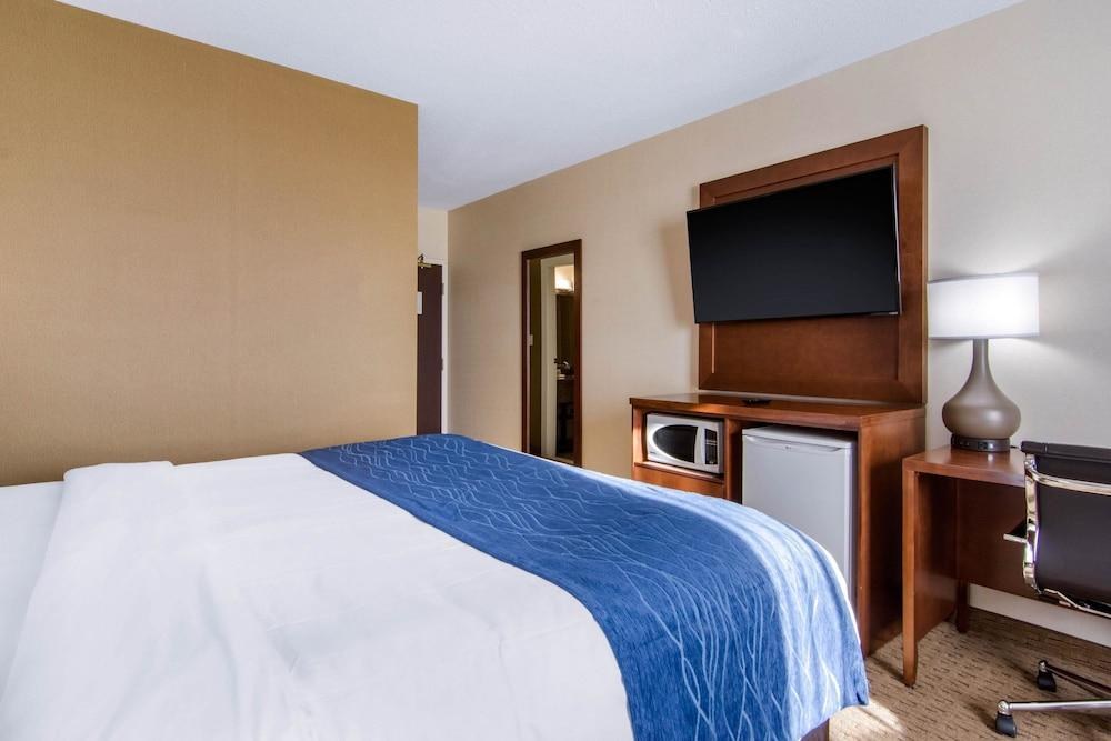 COMFORT INN & SUITES photo 4