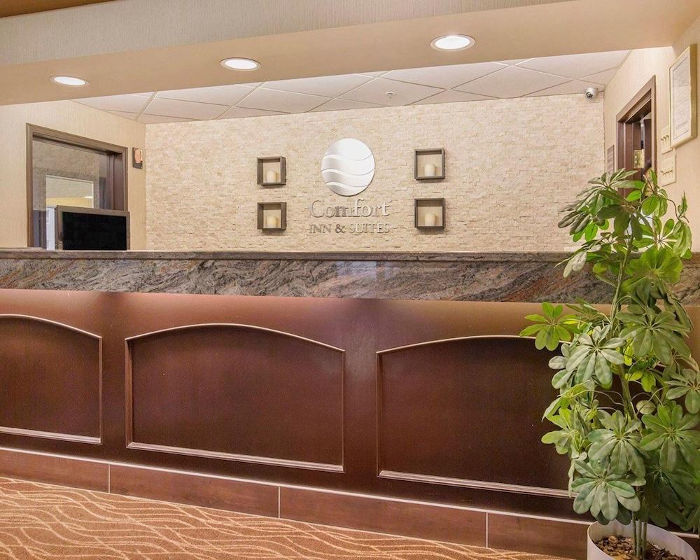 COMFORT INN & SUITES UNIVERSITY photo 2
