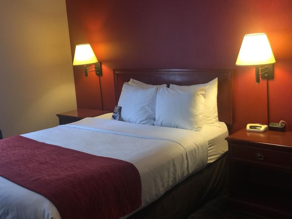 COMFORT INN & SUITES UNIVERSITY photo 3