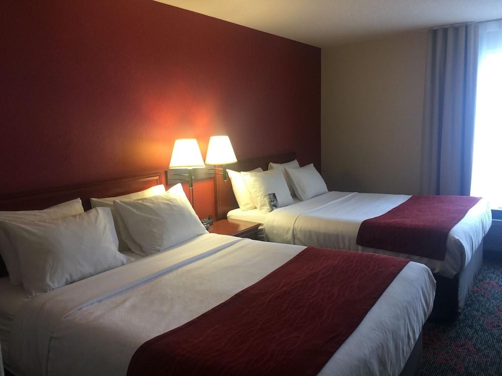 COMFORT INN & SUITES UNIVERSITY photo 4