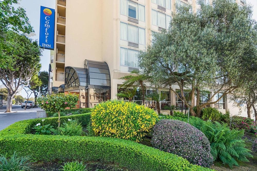 COMFORT INN BY THE BAY photo 4