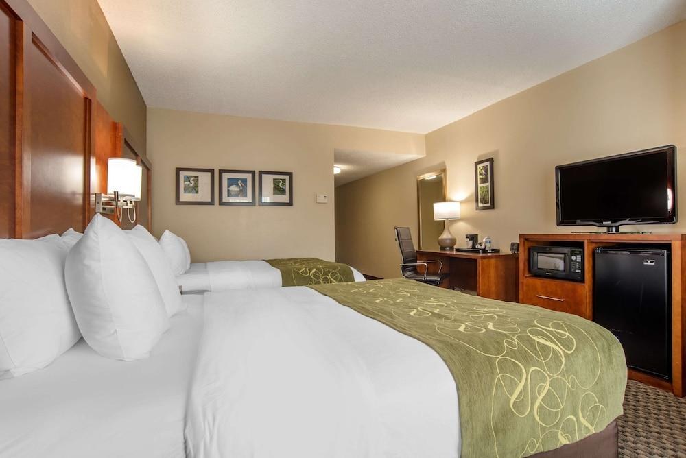 COMFORT SUITES photo 3