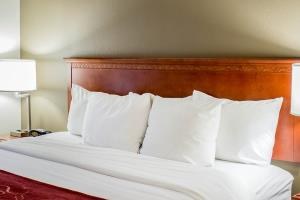 COMFORT SUITES ARENA photo 3