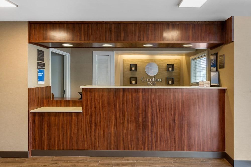 COMFORT INN BOSTON photo 4