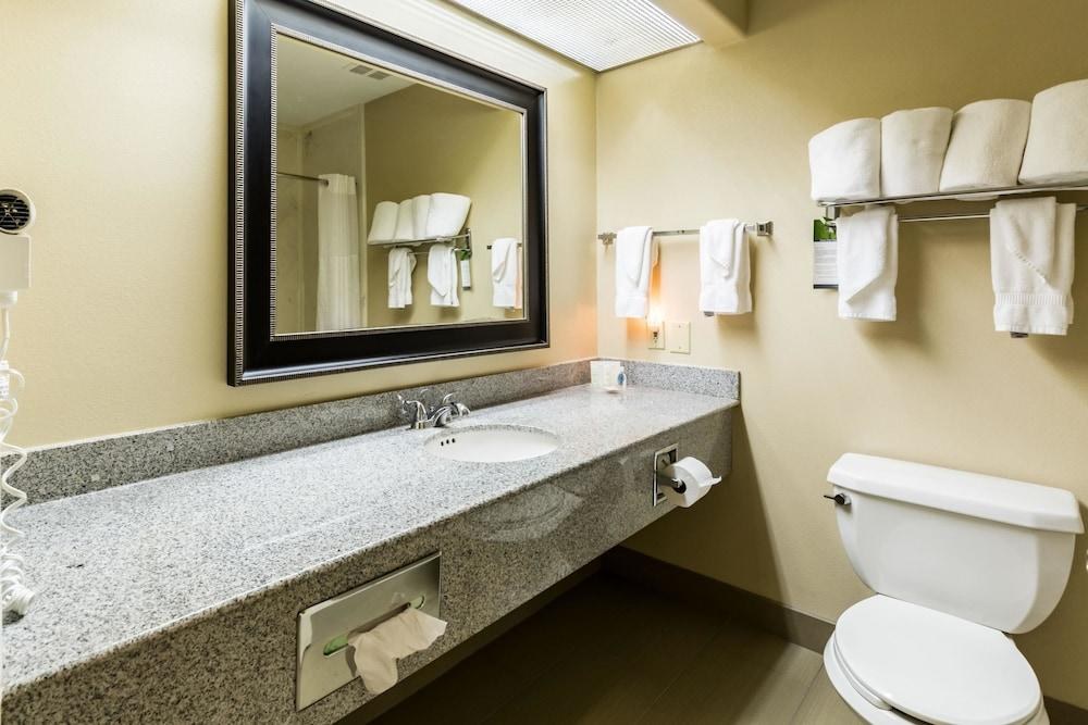COMFORT SUITES WESTCHASE photo 4