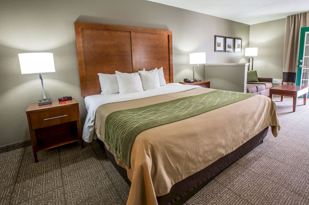 COMFORT INN & SUITES AT DOLLYWOOD LANE