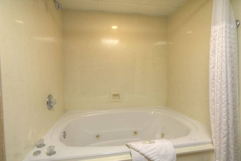 QUALITY INN & SUITES AT DOLLYWOOD LANE photo 2