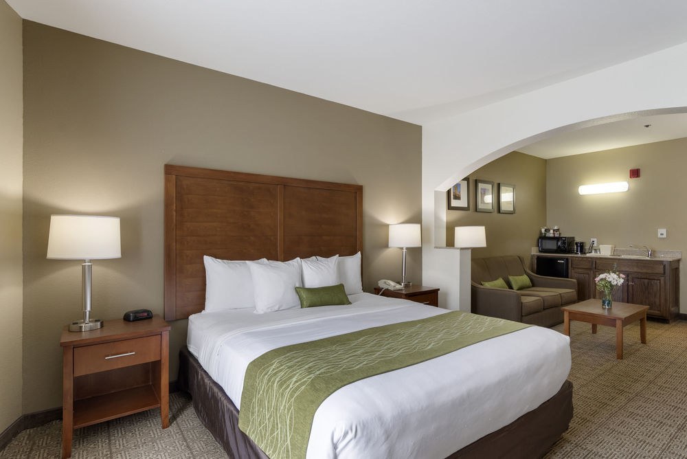 COMFORT INN & SUITES SACRAMENTO - UNIVERSITY AREA photo 1
