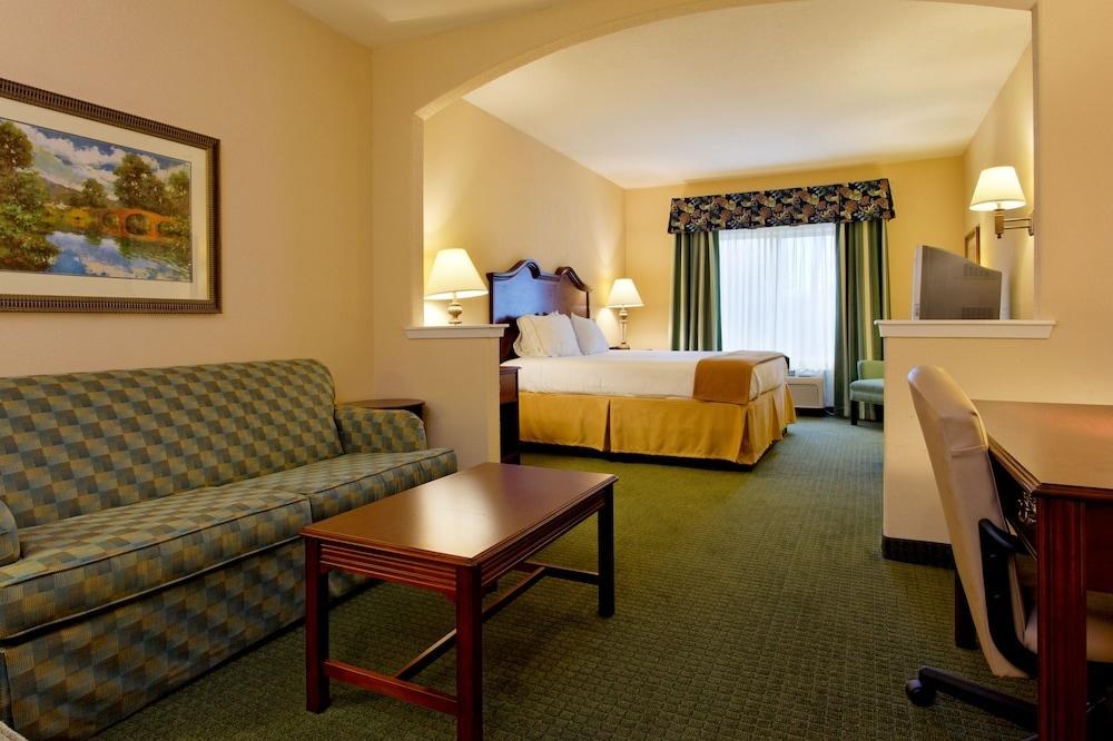 HOLIDAY INN EXPRESS & SUITES SAN ANTONIO SOUTH photo 2