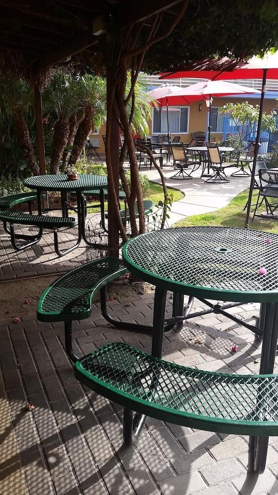 QUALITY INN & SUITES ANAHEIM AT THE PARK photo 3