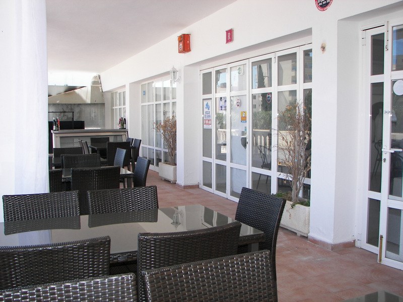 Hostal Los Pinos photo 4