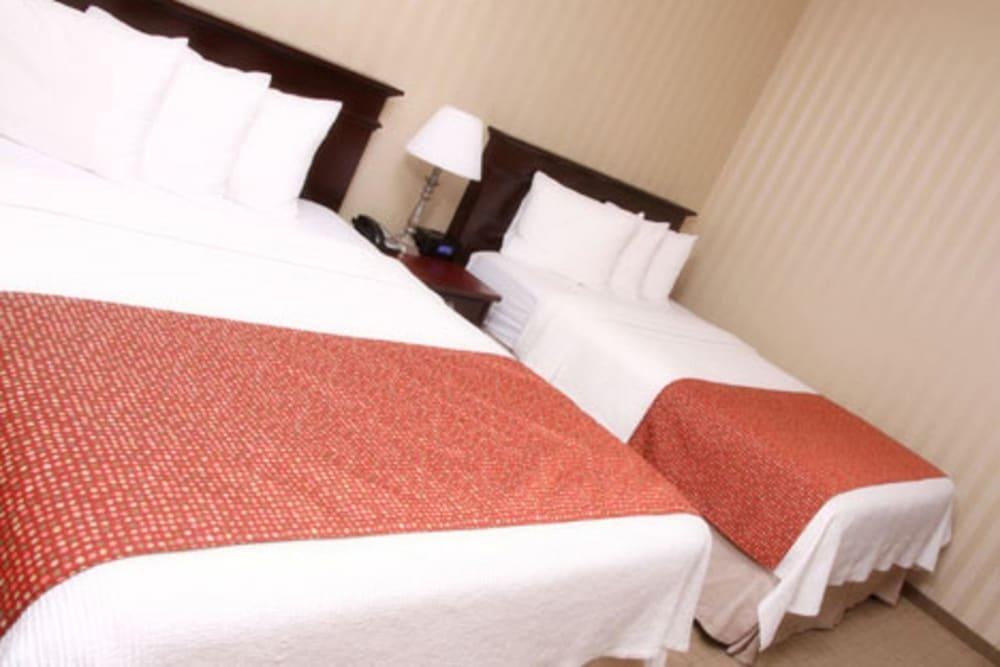QUALITY INN & SUITES DOWNTOWN photo 3