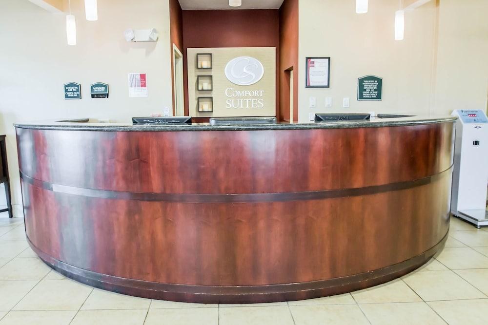 COMFORT SUITES ORLANDO AIRPORT photo 2
