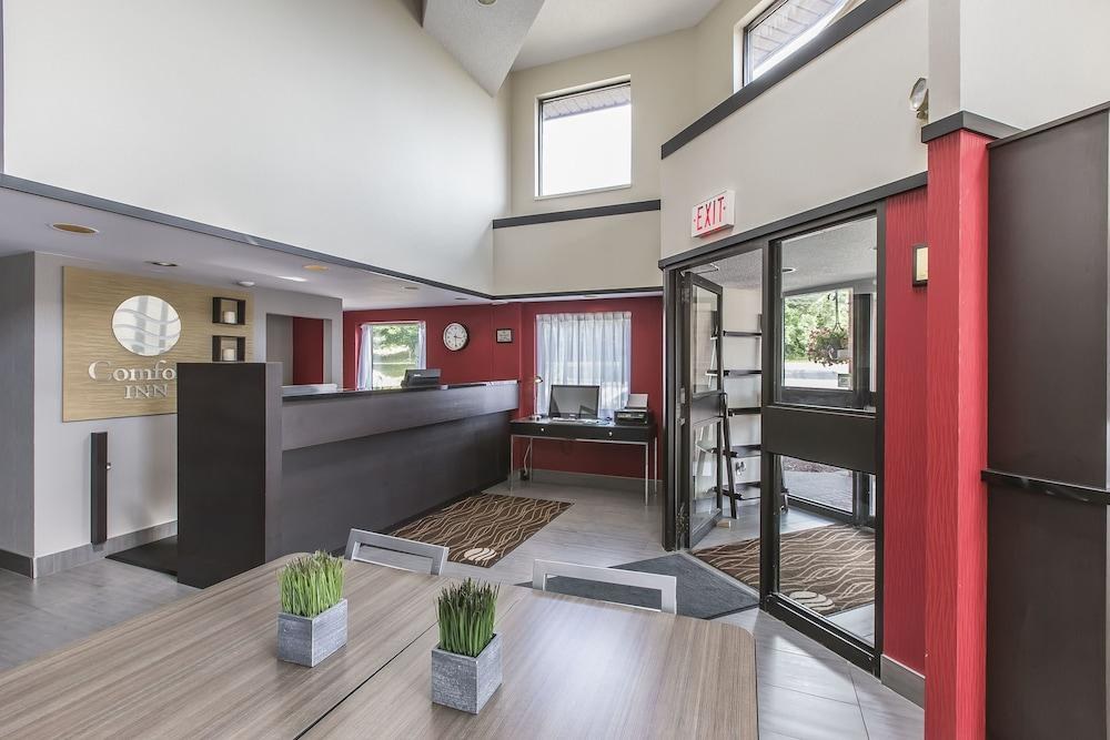 COMFORT INN SYDNEY photo 4