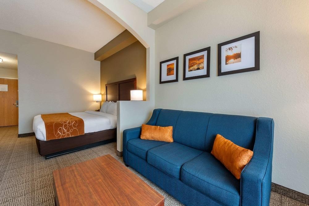 COMFORT SUITES DOWNTOWN ORLANDO photo 4