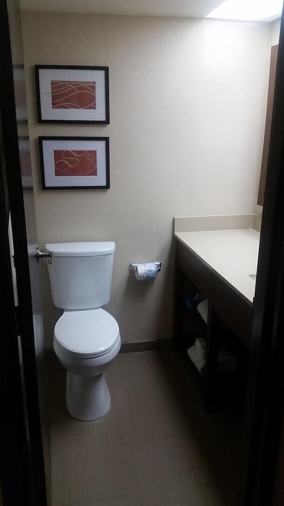 COMFORT SUITES BAYMEADOWS NEAR BUTLER BLVD photo 4