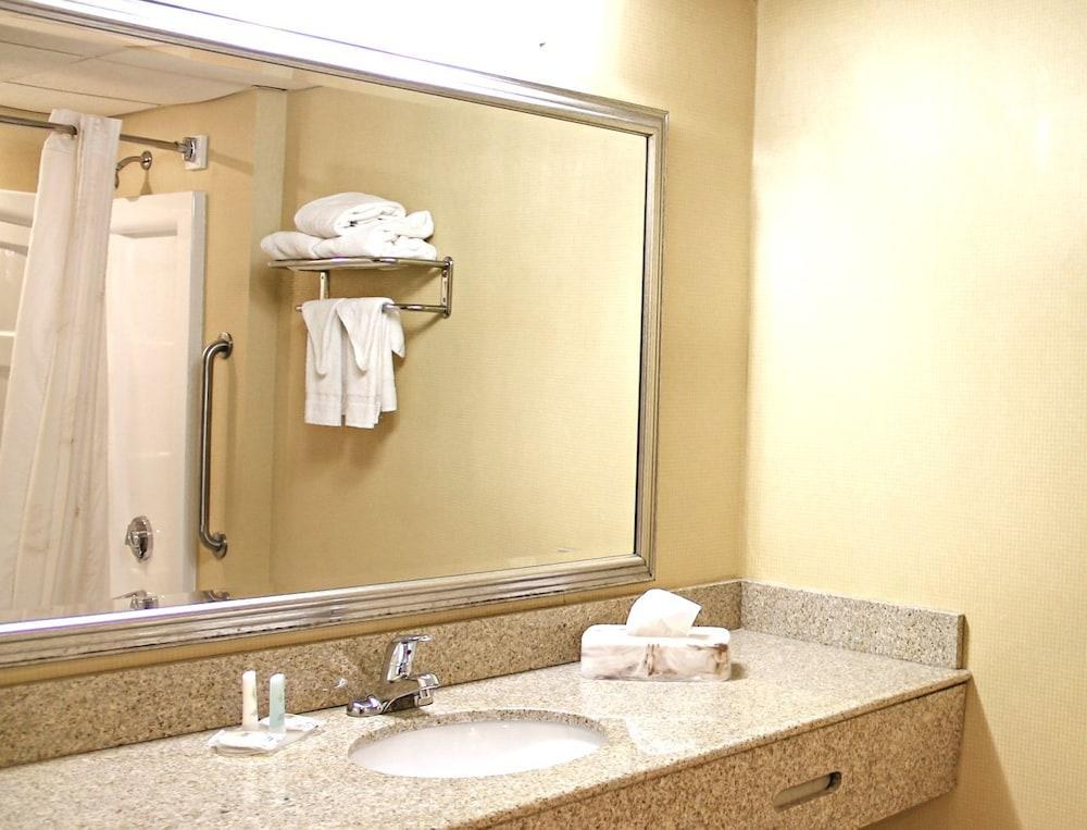 COMFORT INN CARRIER CIRCLE photo 3