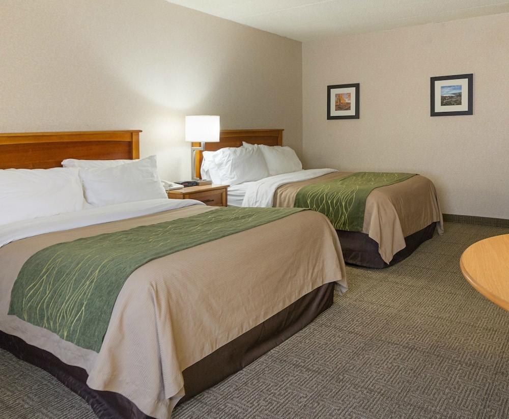 COMFORT INN CARRIER CIRCLE photo 4