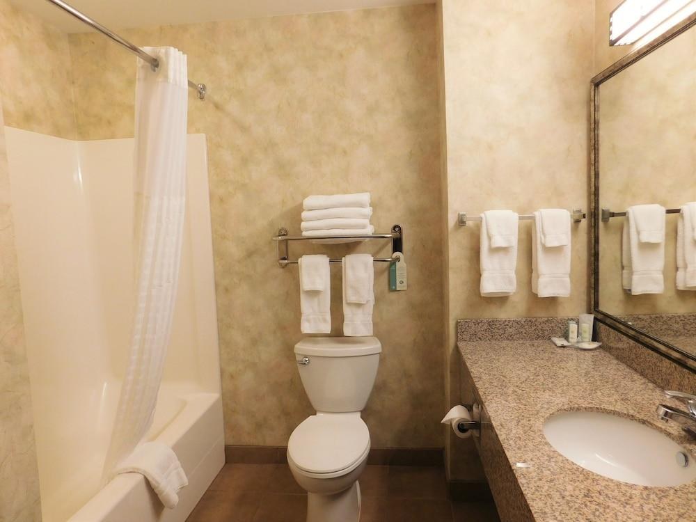 COMFORT INN & SUITES photo 3