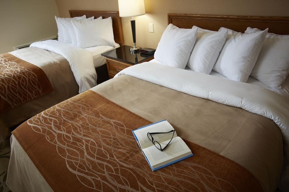COMFORT INN photo 2