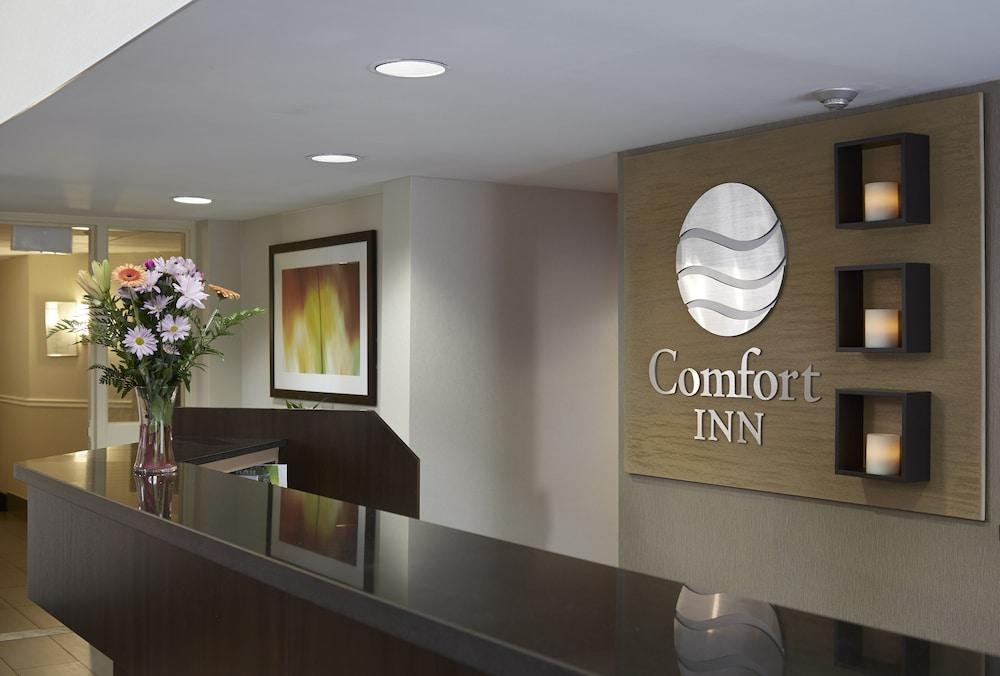 COMFORT INN photo 3