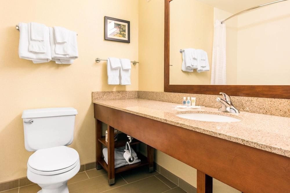 COMFORT SUITES NORMAL UNIVERSITY AREA photo 3