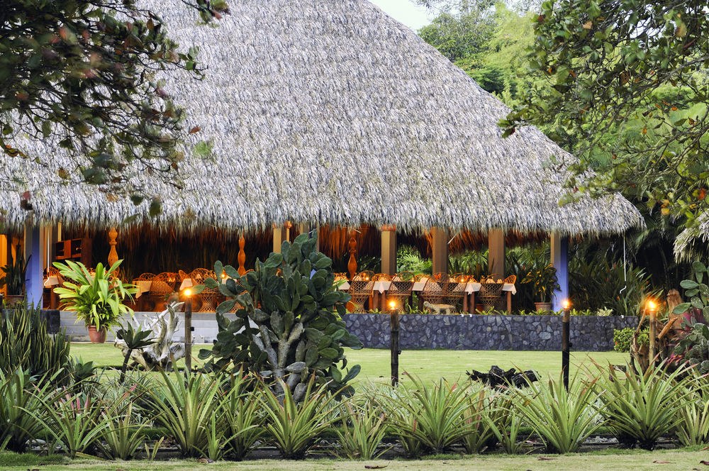 Alma Del Pacifico