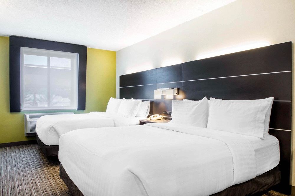 Holiday Inn Express & Suites Albany Airport - Wolf
