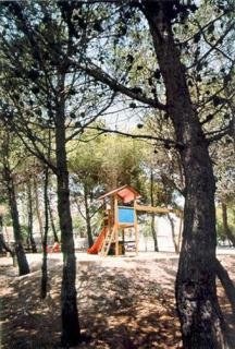 ROCA photo 2
