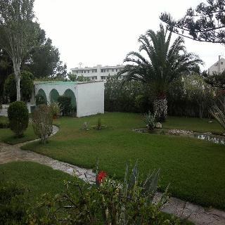 ROCA photo 3